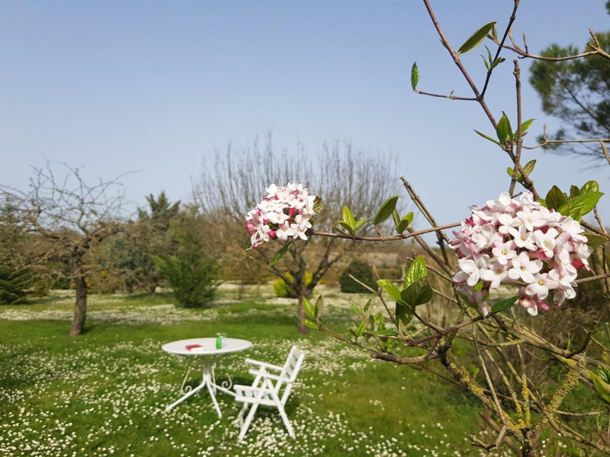 Saint-Jean-dʼAngély Domaine De Pelouaille - Chambre D'Hotes מראה חיצוני תמונה